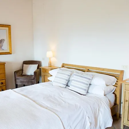 Set In Olive Grove With Stunning Views Ferienhaus