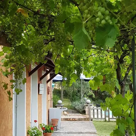 Hébergement de vacances Set In Olive Grove With Stunning Views
