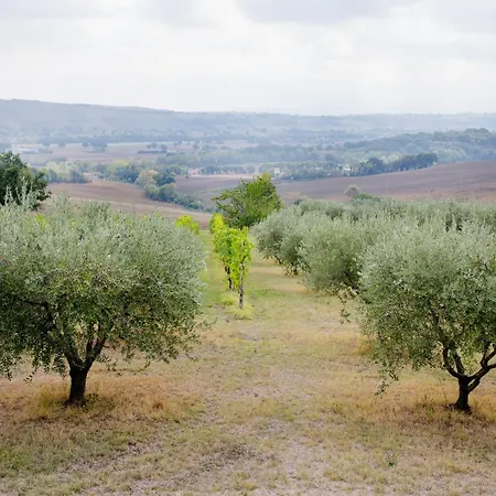 Hébergement de vacances Set In Olive Grove With Stunning Views *