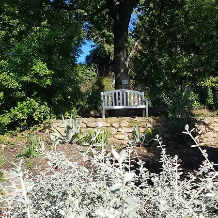 Hébergement de vacances Set In Olive Grove With Stunning Views *